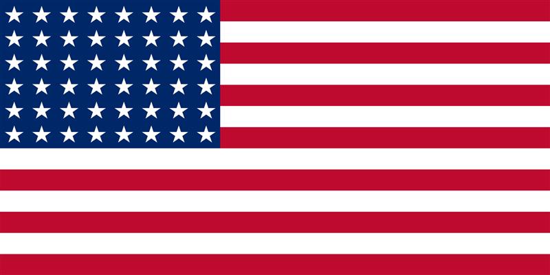 Naval Ensign of the USA